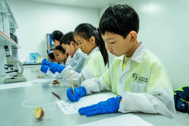 怎么鉴定呼吸套装真伪小小科学家丨食物中营养物质的鉴定_https://www.jmylbn.com_新闻资讯_第4张