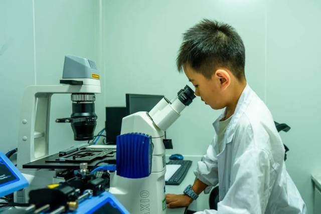 怎么鉴定呼吸套装真伪小小科学家丨食物中营养物质的鉴定_https://www.jmylbn.com_新闻资讯_第3张