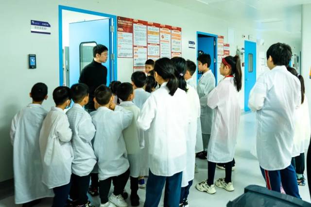 怎么鉴定呼吸套装真伪小小科学家丨食物中营养物质的鉴定_https://www.jmylbn.com_新闻资讯_第2张