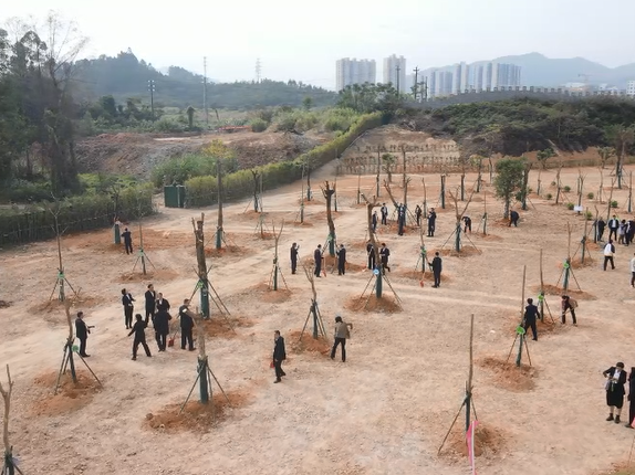 惠州举行2023年“12·4”国家宪法日活动