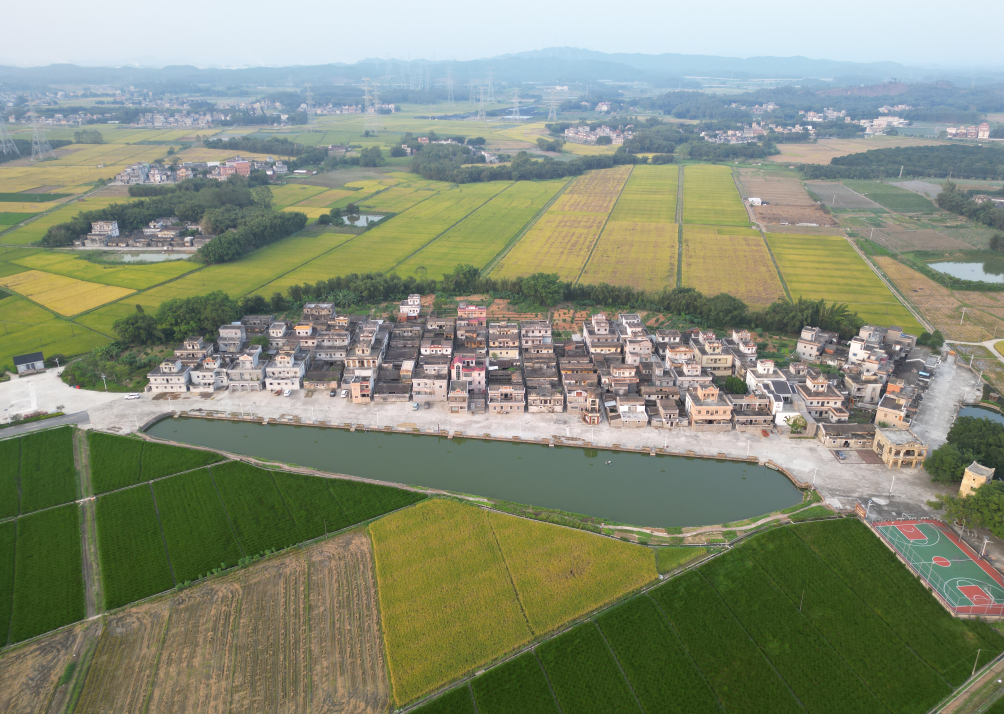 百合镇茅冈宝顶村。 百合镇茅冈宝顶村。