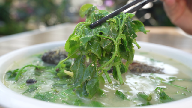 准备好你512G的胃，来吃遍江门恩平！