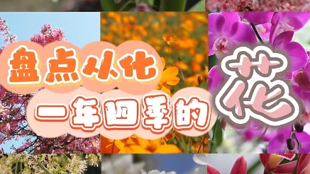 来广州从化，带你一年四季“走花路”→