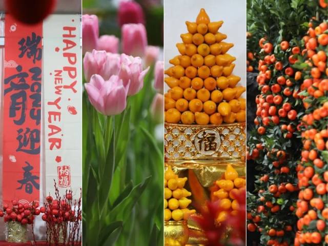 “行花街，走花路”！珠海这里的年味，藏不住了！