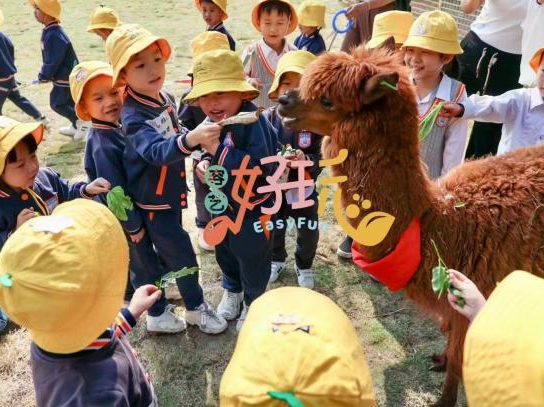 “濠”有年味，过年我们就去→