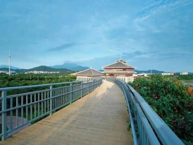 请到茂名过大年 | 春节期间，茂名这些景区景点免费游