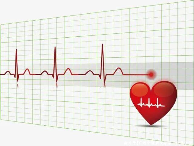 动态心电图自己怎么记录动态心电图监测－－记录您的“心路历程”_https://www.jmylbn.com_新闻资讯_第4张