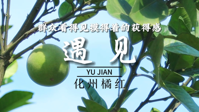 当课本封面“遇见”化州“百千万工程”