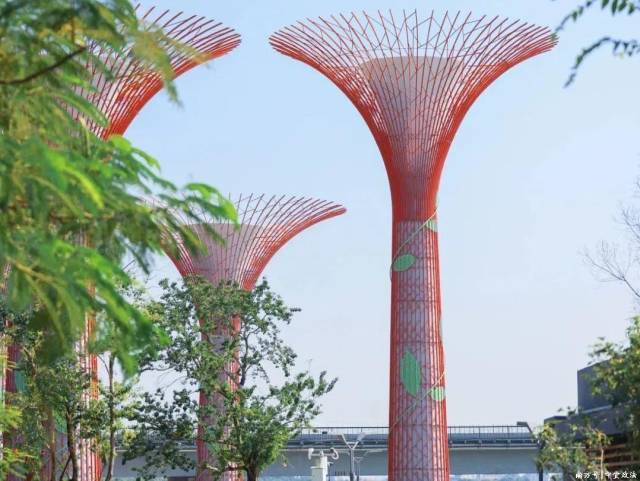 各种“课本封面”大赏！中堂文旅“适配度”拉满