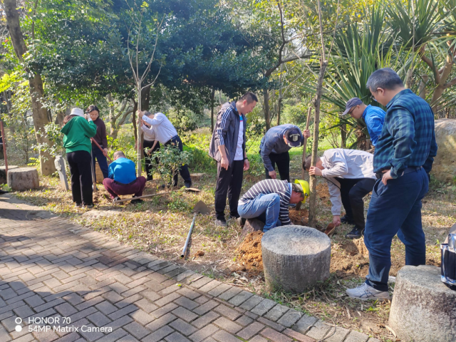 阳江市委党校领导班子_党校植树活动_绿美阳江生态建设