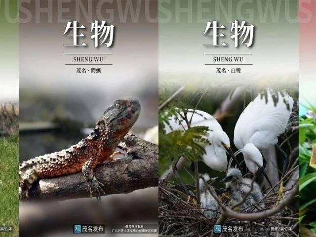 太生动了这样的茂名“生物课本封面”，你喜欢吗？