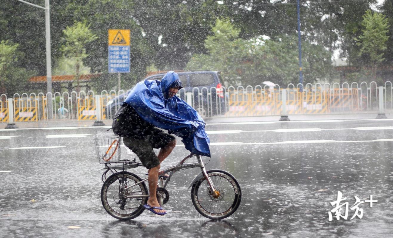 大风大雨中,一位广州市民骑自行车前行【摄影】王良珏【校对】罗健鹏
