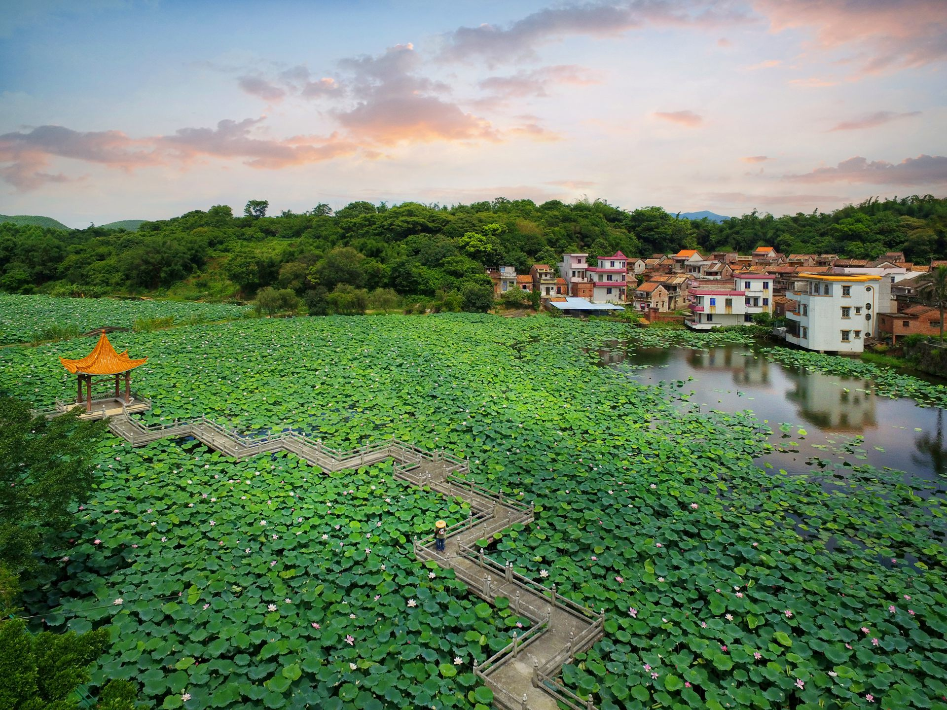 整洁干净的环境与村中的绿树红花相映衬,高明乡村的新面貌让人心旷神