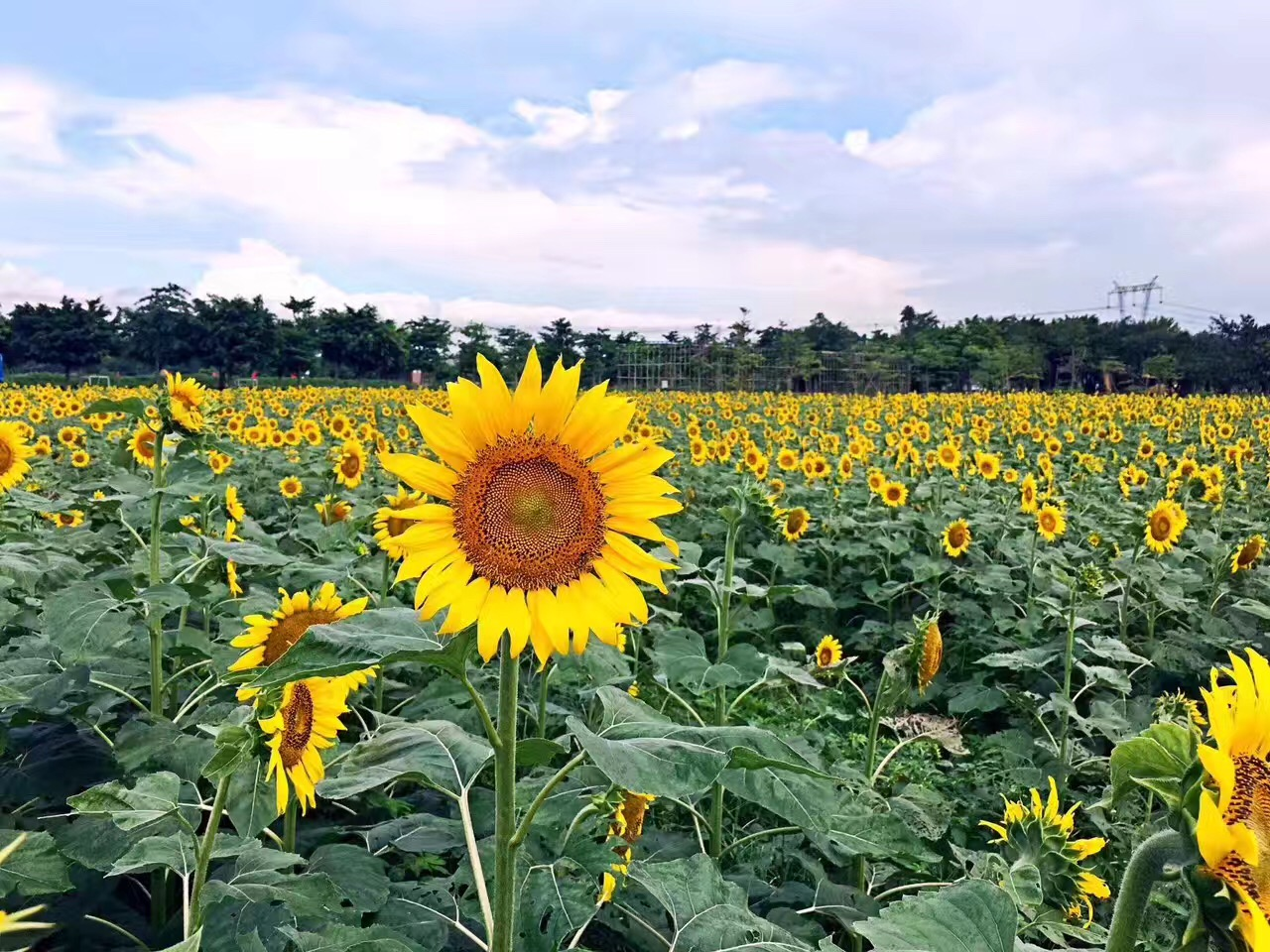 翰林湖风景。资料图片