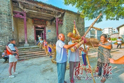 编制火龙一般由村里的老人负责。76岁的黄上宁便是编火龙的一把好手