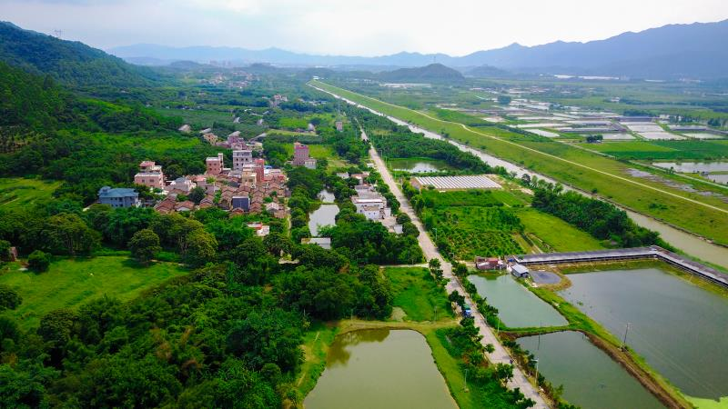 10月25日,三水区南山镇东和横岗咀村基础设施工程启动.