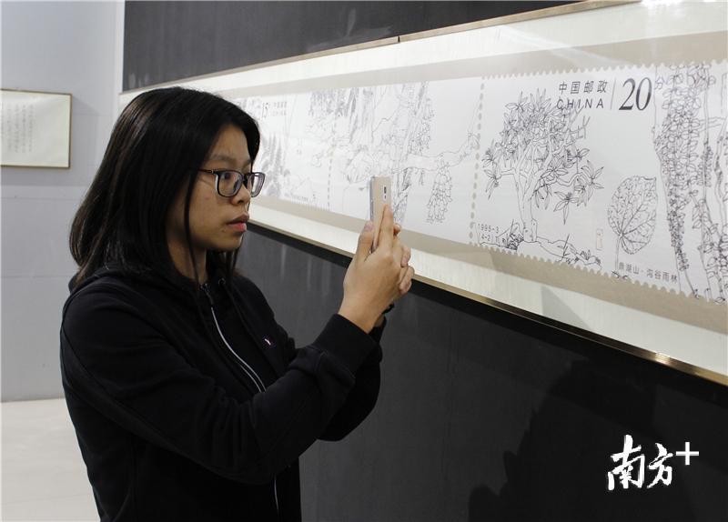 国家一级档案邮票图稿在江门展出。图为市民观看展览。张泳渝 摄 国家一级档案邮票图稿在江门展出。图为市民观看展览。张泳渝 摄