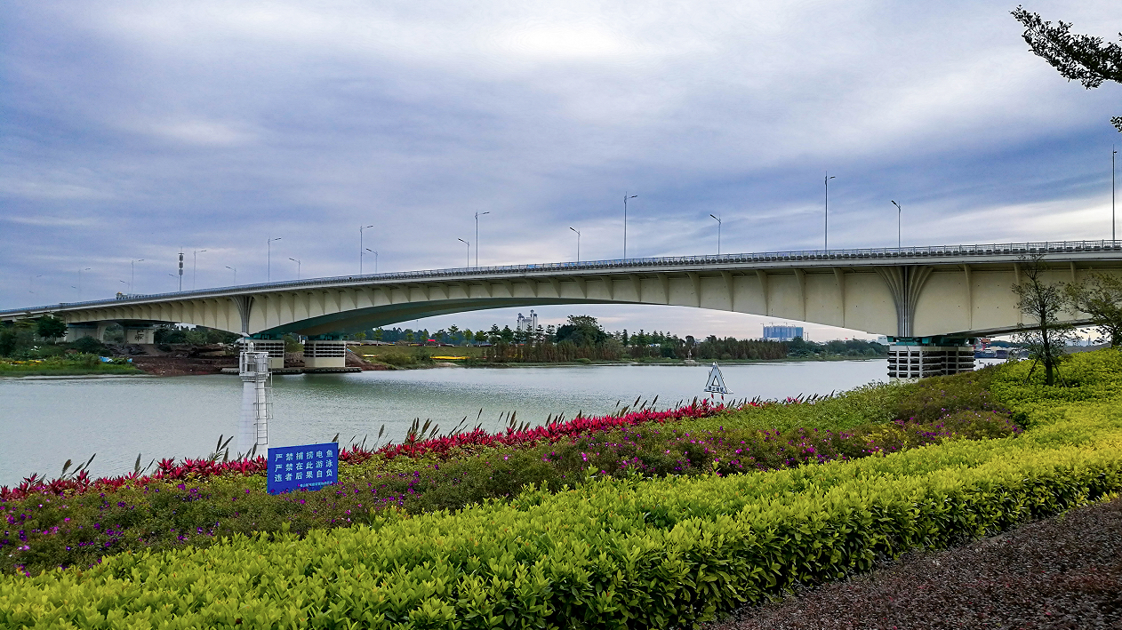 华阳特大桥以白兰花为创意元素，整体造型别致，犹如一朵朵白兰花盛开于江面上。