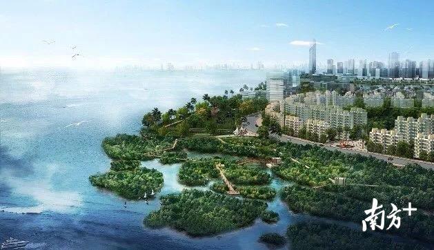 规划中的湿地公园 效果图