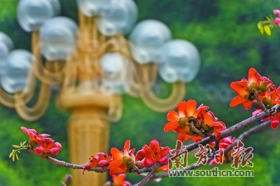 陈俊生摄影作品。