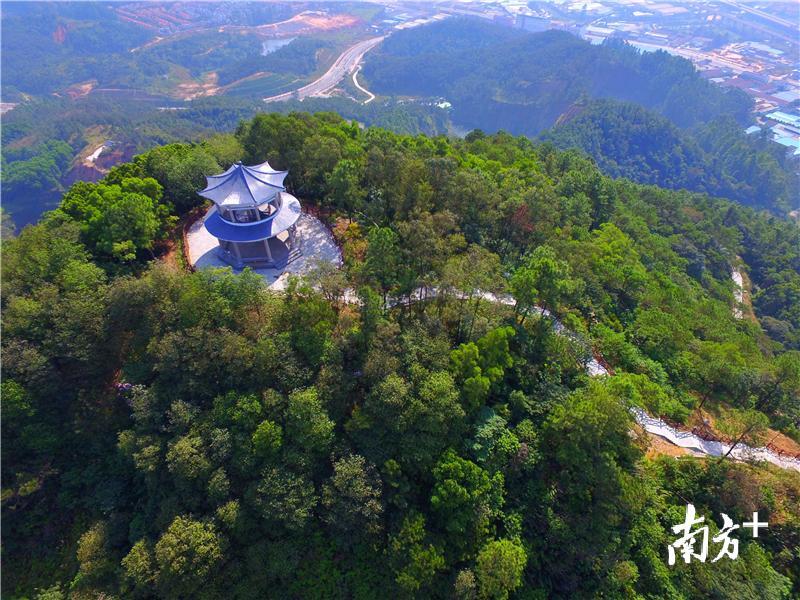 席帽山森林公园