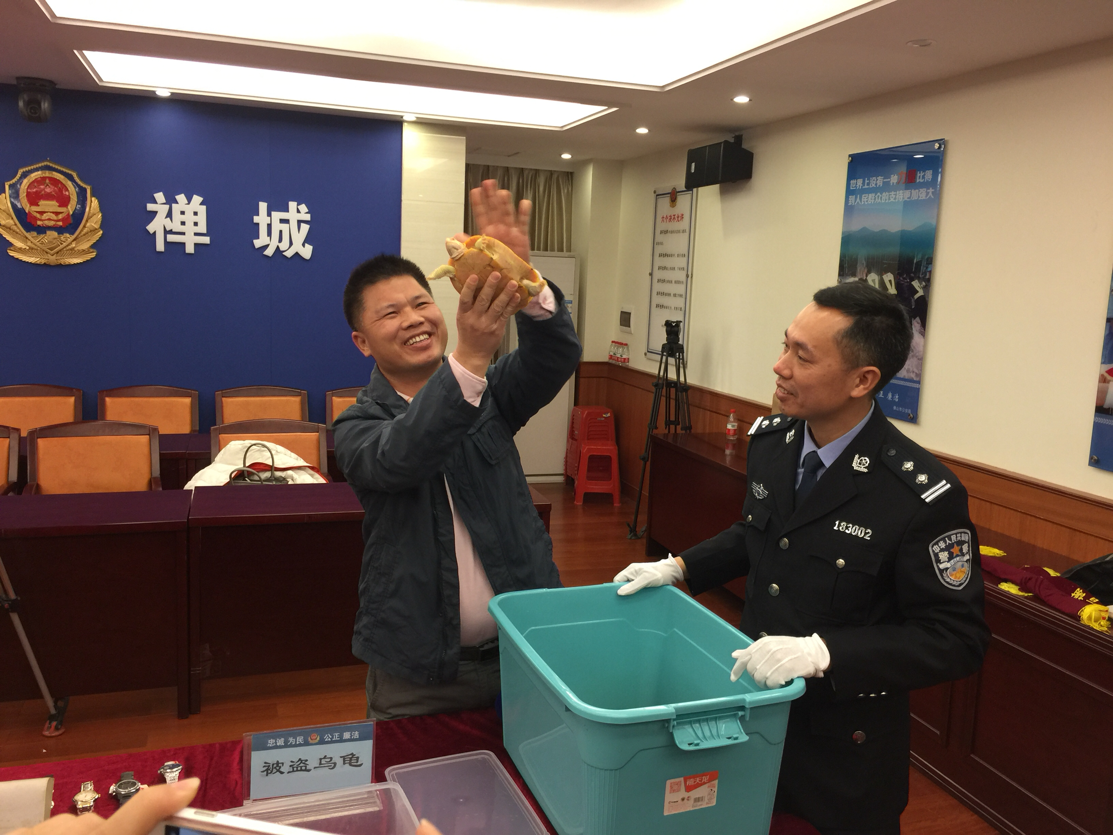 事主领回被盗白化龟