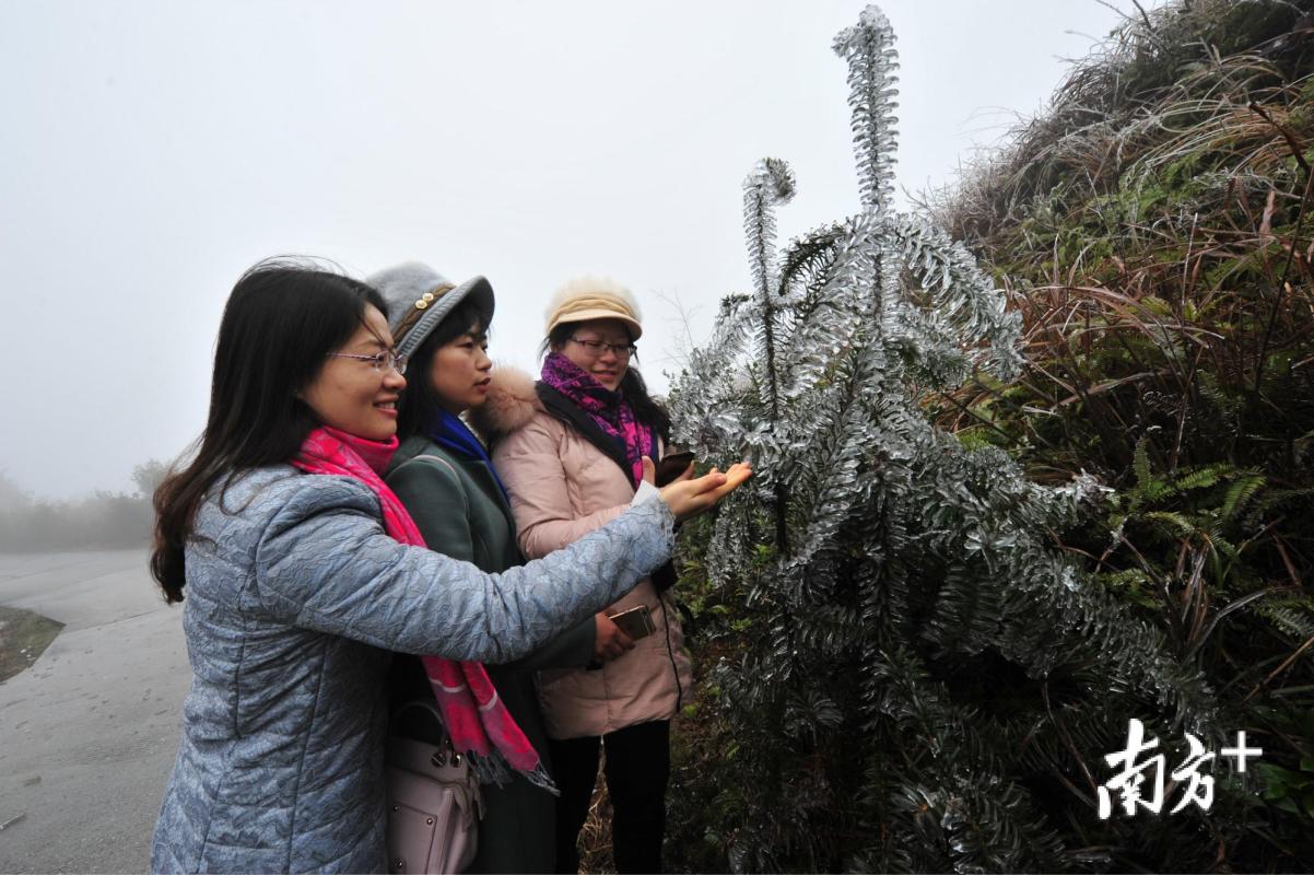 受冷空氣和寒潮的影響,地處乳源瑤族自治縣北部的高寒石灰岩山區氣溫