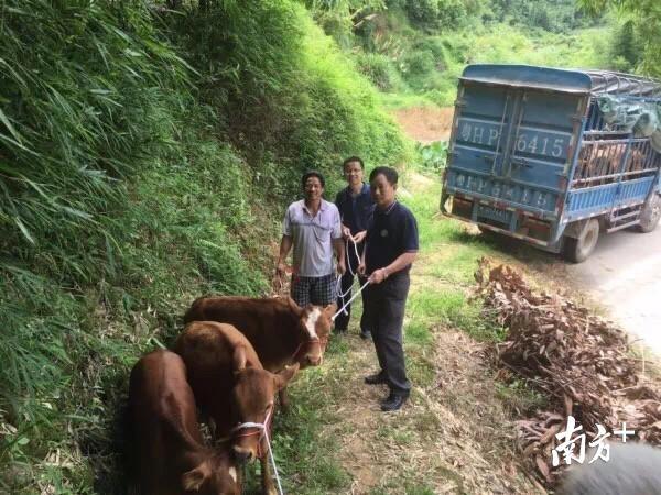 广宁县食药监局在食品安全监管中的重要角色