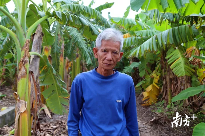 麻涌镇漳澎村民黄自兴