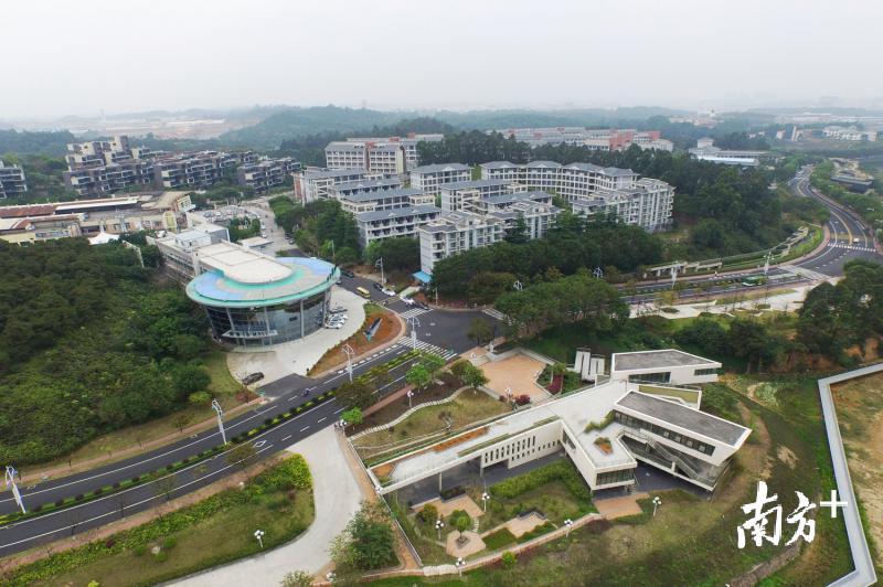 佛山高新区。南方日报记者 戴嘉信 摄 佛山高新区。南方日报记者 戴嘉信 摄