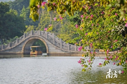 佛山计划建设一流生态森林公园群。南方日报记者 戴嘉信 摄