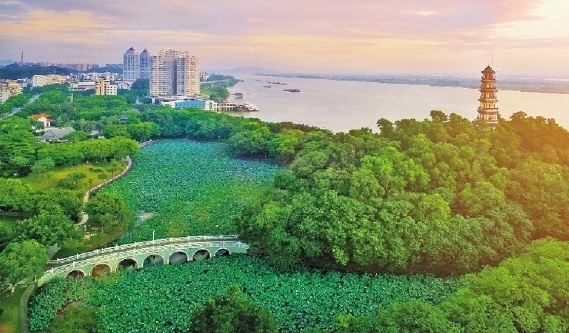 高明中心城区。高明区委宣传部供图