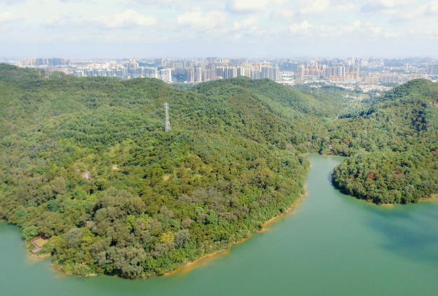 中山市金钟水库。 南方日报记者 叶志文 摄