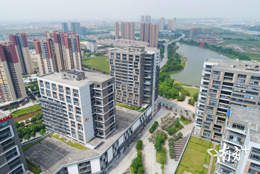 禅城将立足粤港澳大湾区战略格局,全力打造现代化宜居宜业宜创新的中心城区。南方+记者 戴嘉信 摄 禅城将立足粤港澳大湾区战略格局,全力打造现代化宜居宜业宜创新的中心城区。南方+记者 戴嘉信 摄