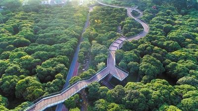 香密公园。图片来源于网络