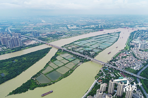 顺德大汕岛。南方+记者 戴嘉信 摄