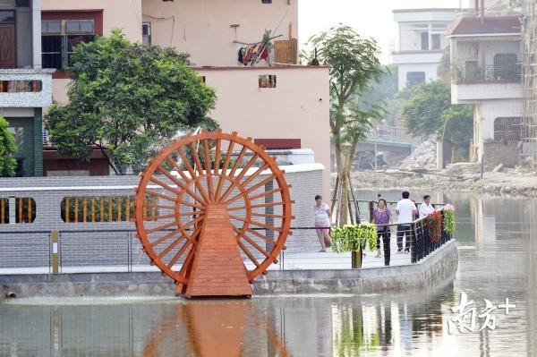 图为北滘细海河。南方日报记者戴嘉信 摄