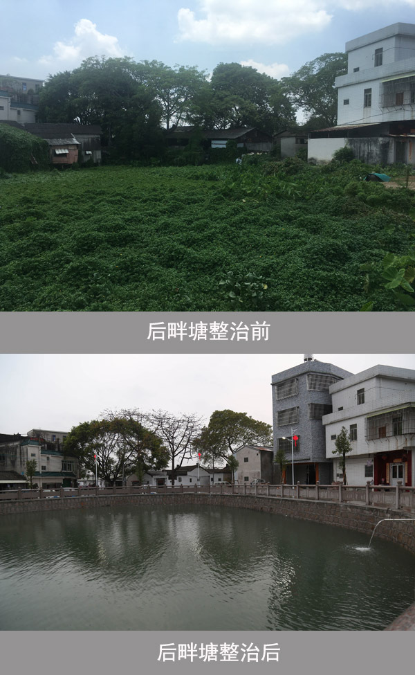 古巷镇枫洋二村，原本成了垃圾堆的后畔塘如今水质清澈。