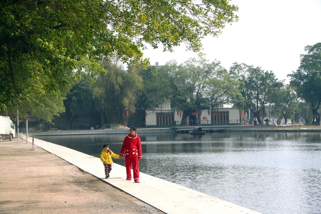 沿湖的古榕树风情带，是沟南村文创旅游规划的一大特色。