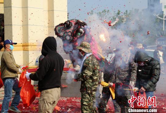 “炮仗攻狮子”闹元宵龙母故乡广东德庆年味浓