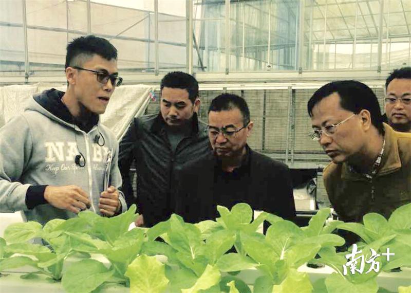 香港中文大学博士生介绍“鱼菜共生”科技项目，该项目获得了4项国家发明专利和3项实用型专利。  陈建华 摄