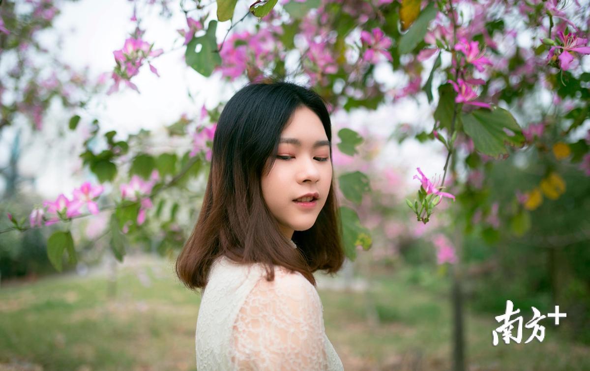 位于天河区的华南农业大学的校园内,"校花"紫荆应季开放,而刚开学的"