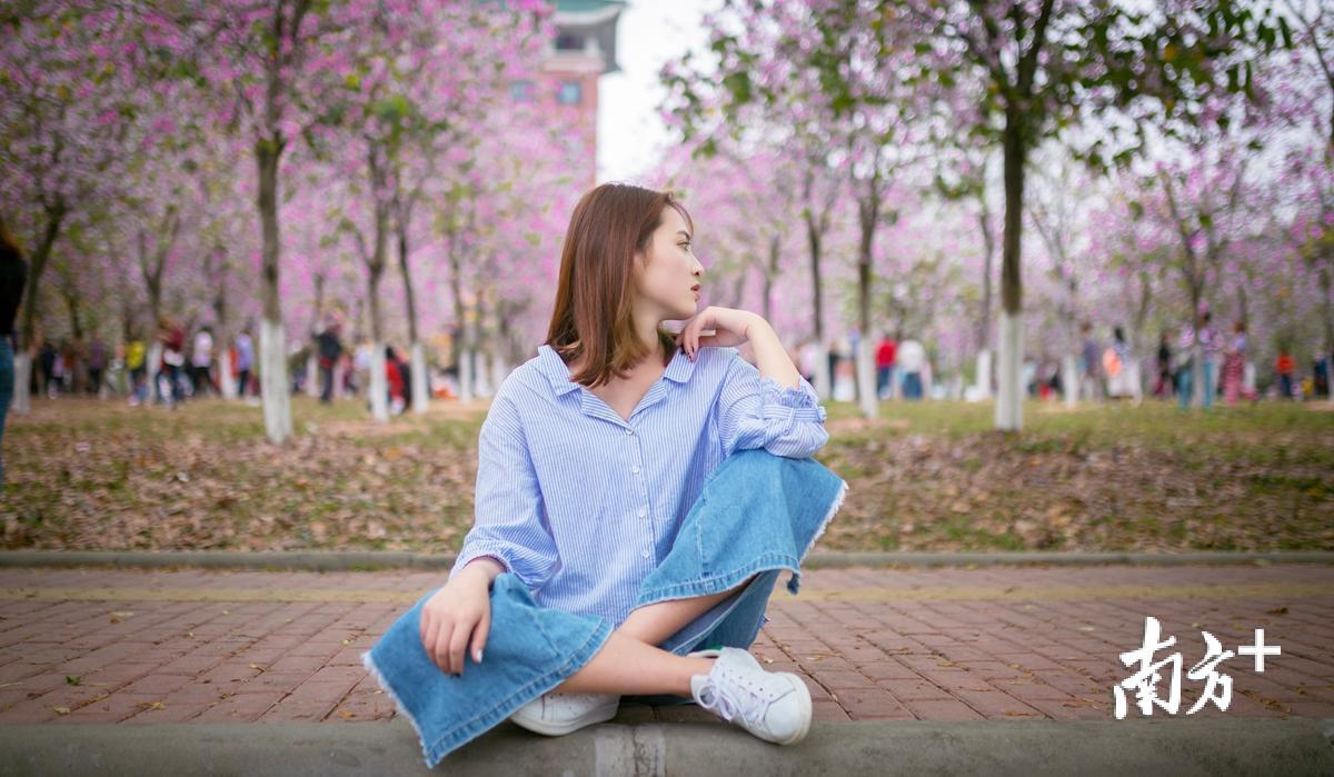 位于天河区的华南农业大学的校园内,"校花"紫荆应季开放,而刚开学的"