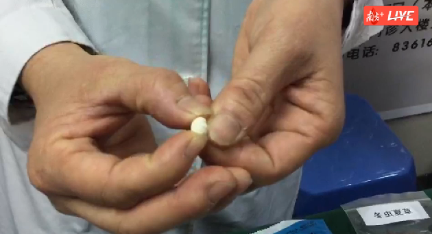 松贝呈卵圆形,颗粒大小均匀。最好的就是具有“怀中抱月”的特征。 松贝呈卵圆形,颗粒大小均匀。最好的就是具有“怀中抱月”的特征。