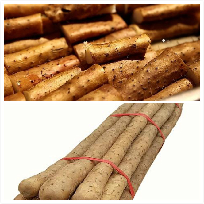 上下图分别为土淮山和河南淮山。 上下图分别为土淮山和河南淮山。