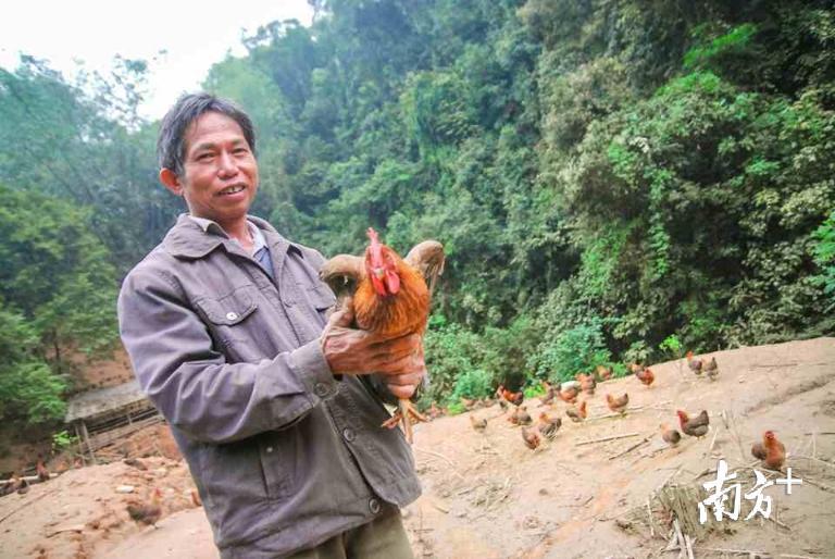 近年来，清远深入推进农村综合改革，大力推进土地、涉农资金整合，更好地促进了“公司+农户”产业模式的发展。