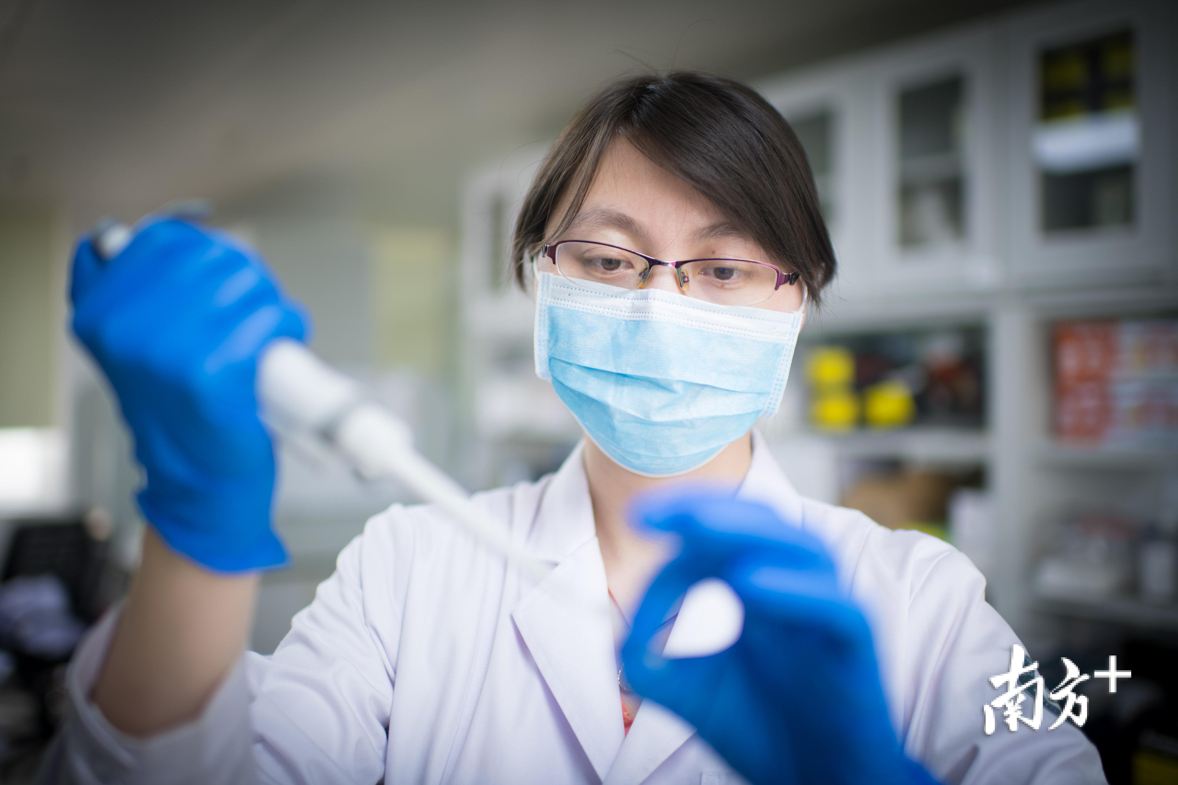 团队科研人员闫森正在提取基因组DNA。 团队科研人员闫森正在提取基因组DNA。