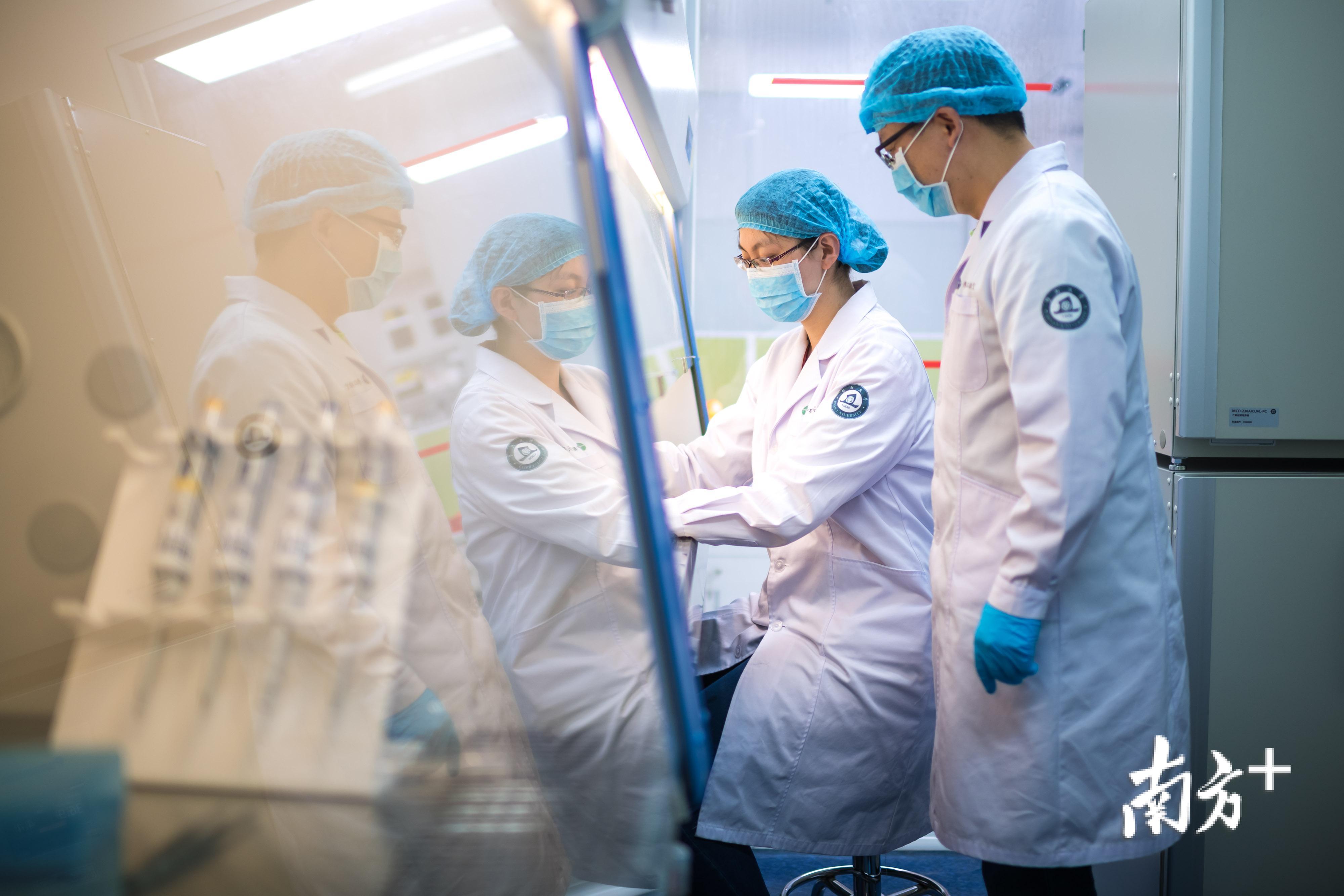 团队科研人员正在进行细胞培养操作。 团队科研人员正在进行细胞培养操作。