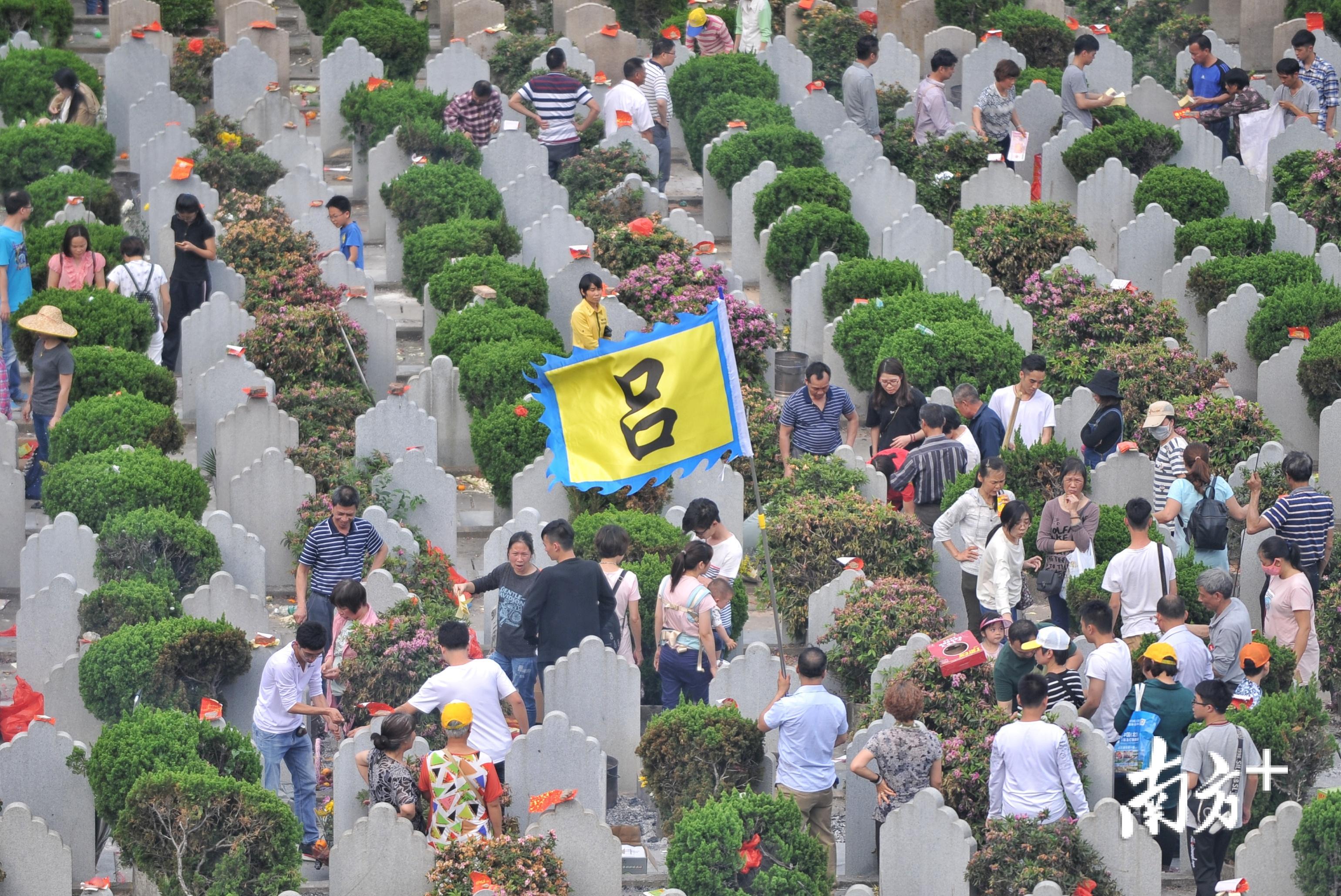 顺德飞鹅墓园，现场人头涌涌，不少家族扛着旗号前来拜祭。