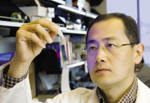 （山中伸弥，图片来自网络）